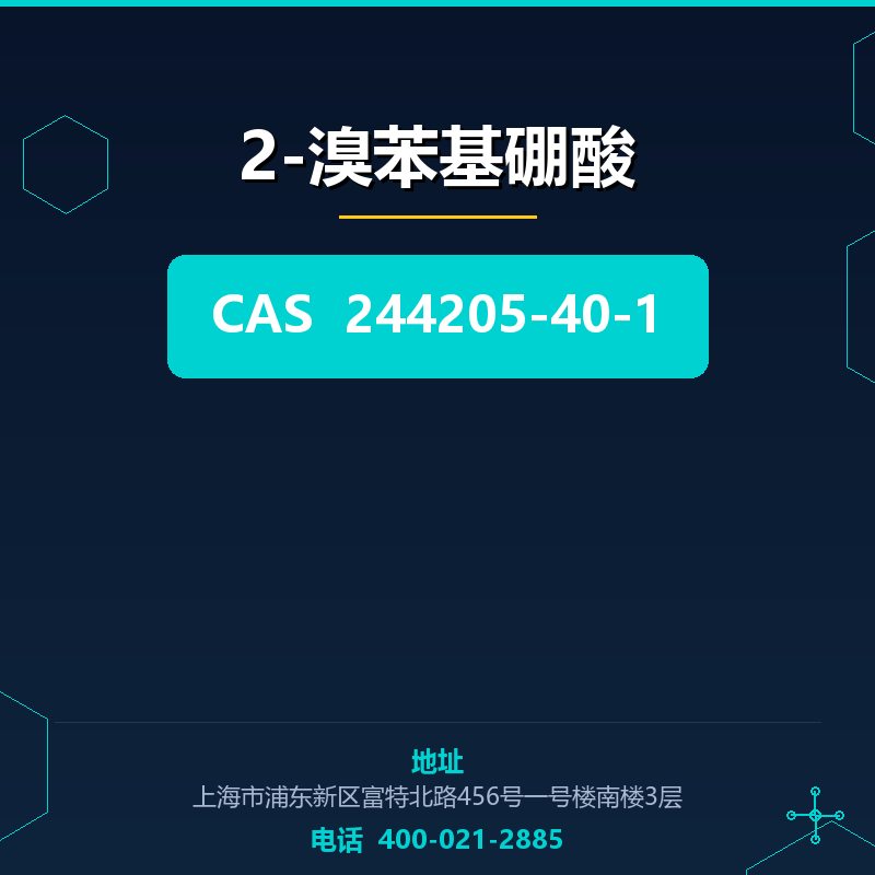 2-溴苯基硼酸 244205-40-1