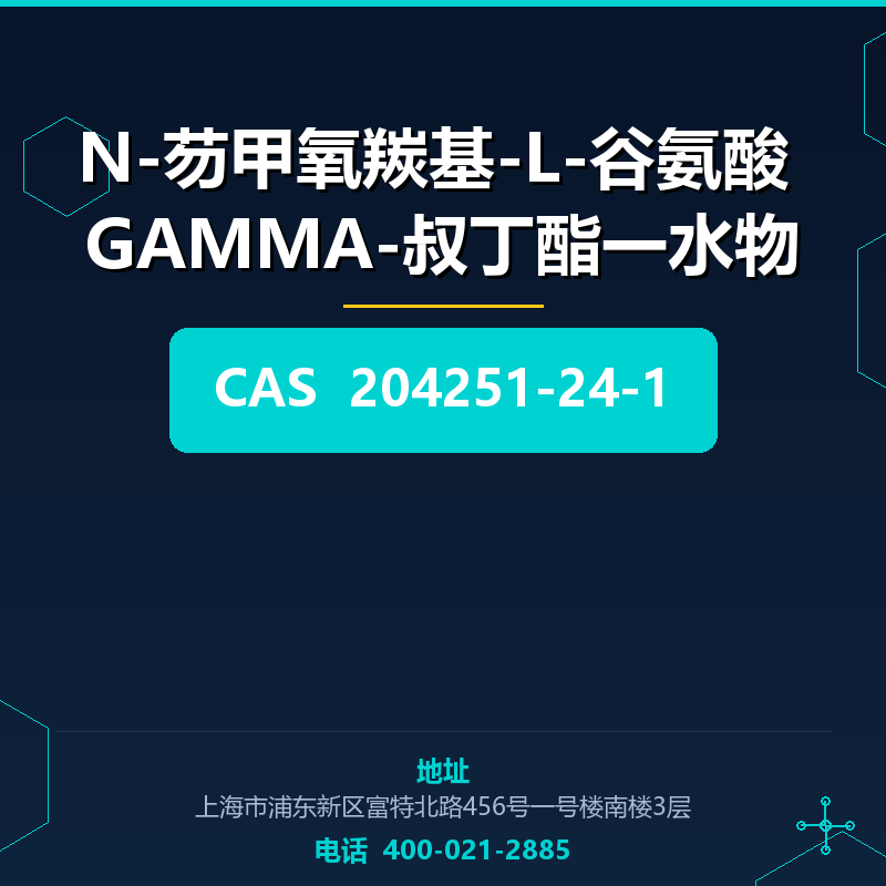 N-芴甲氧羰基-L-谷氨酸 GAMMA-叔丁酯一水物 204251-24-1