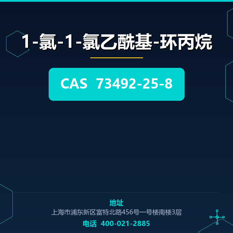 1-氯-1-氯乙酰基-环丙烷 73492-25-8