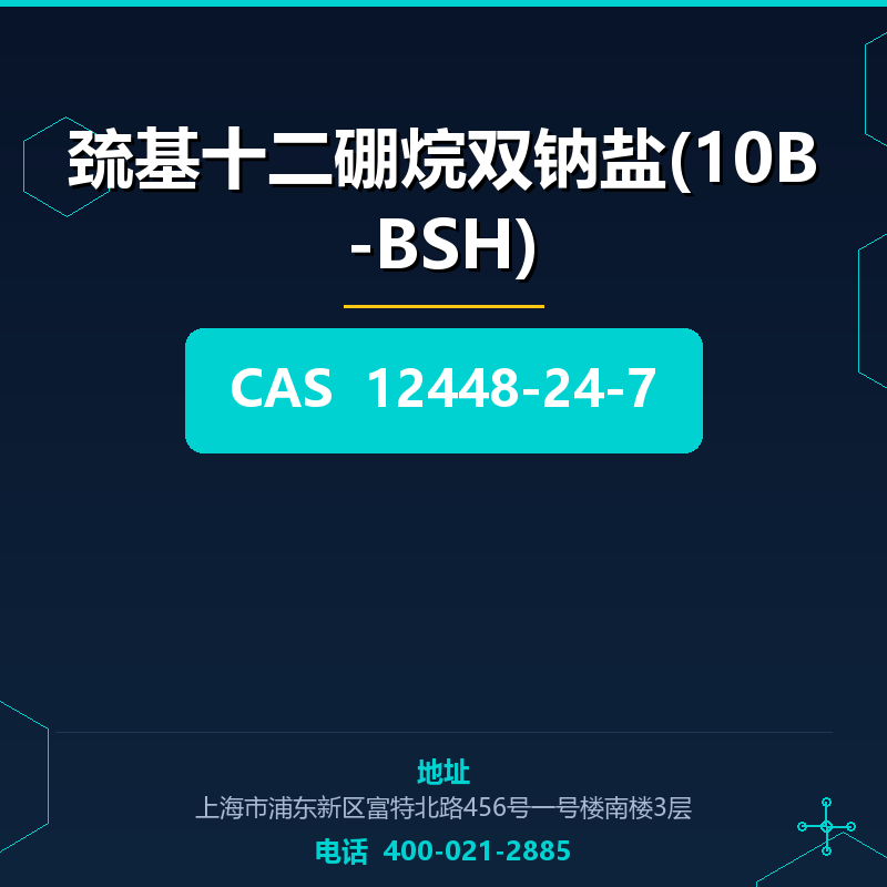 巯基十二硼烷双钠盐(10B-BSH)