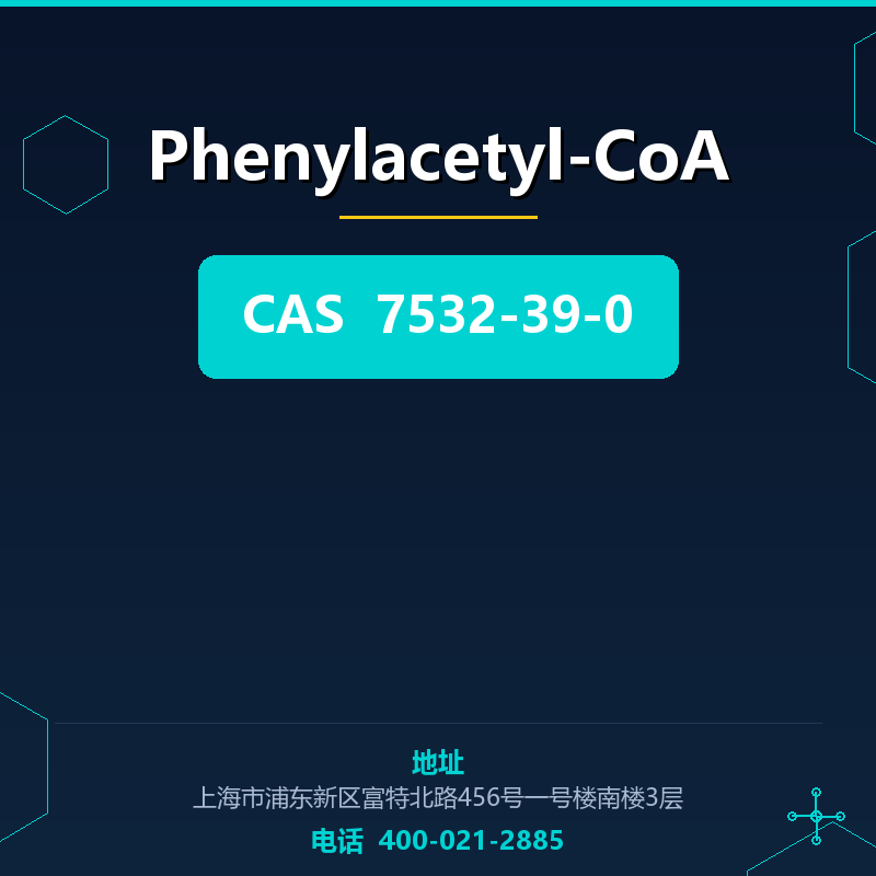 Phenylacetyl-CoA