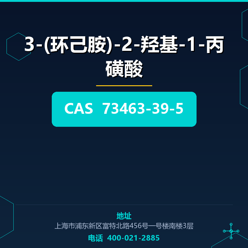 3-(环己胺)-2-羟基-1-丙磺酸 73463-39-5