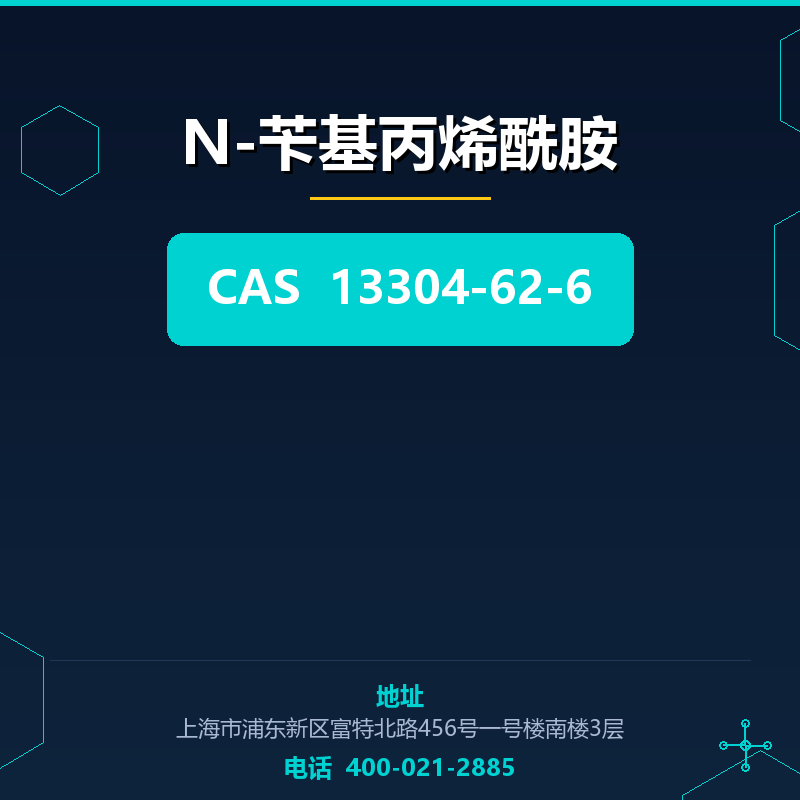 N-苄基丙烯酰胺 13304-62-6