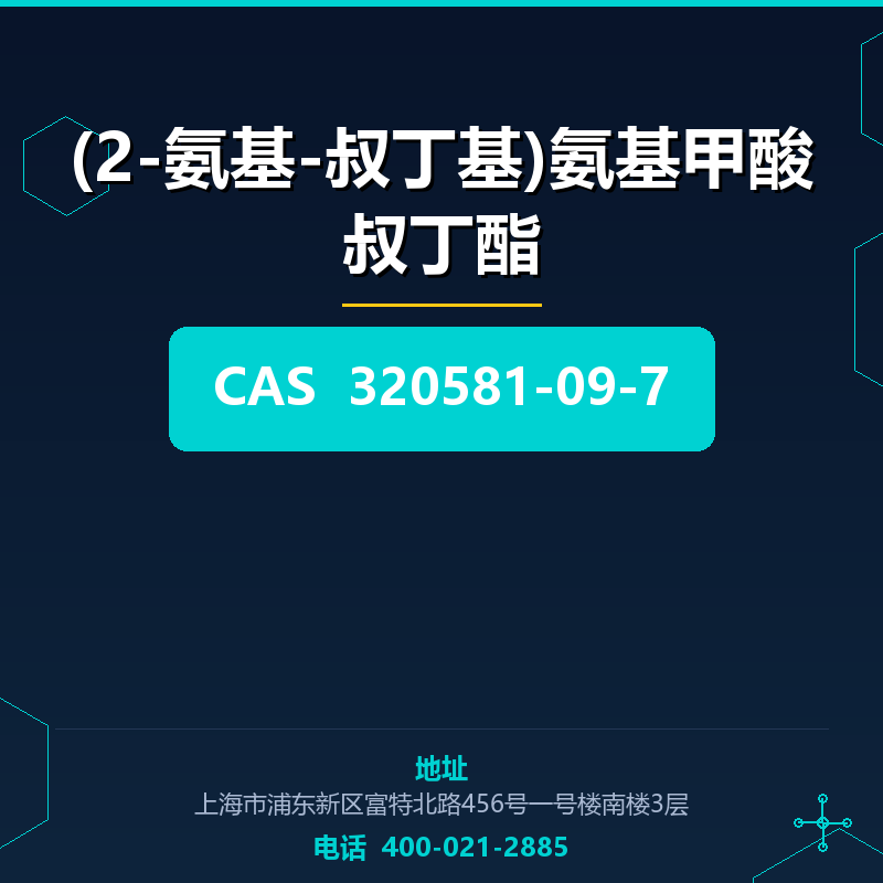 (2-氨基-叔丁基)氨基甲酸叔丁酯 320581-09-7