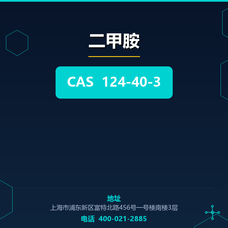 二甲胺 124-40-3