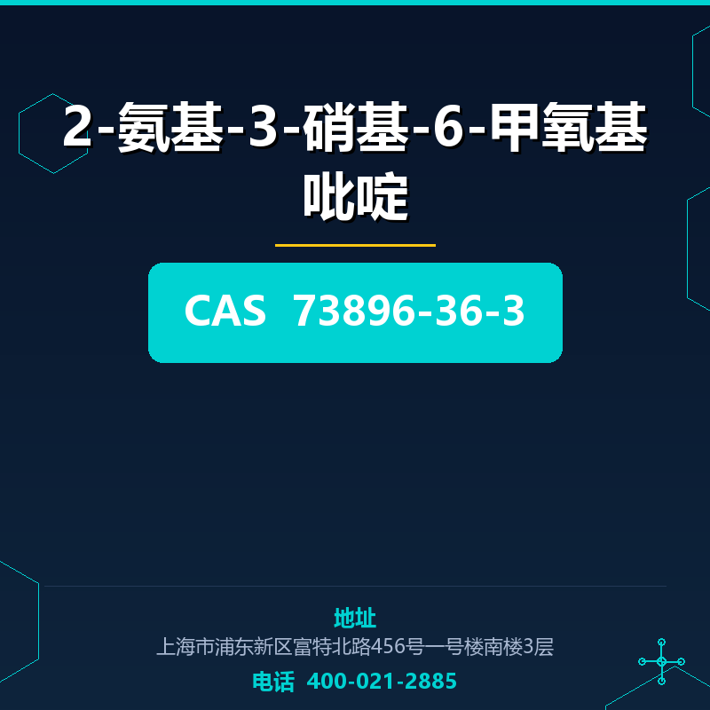 2-氨基-3-硝基-6-甲氧基吡啶 73896-36-3