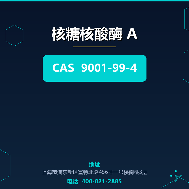 核糖核酸酶 A 9001-99-4
