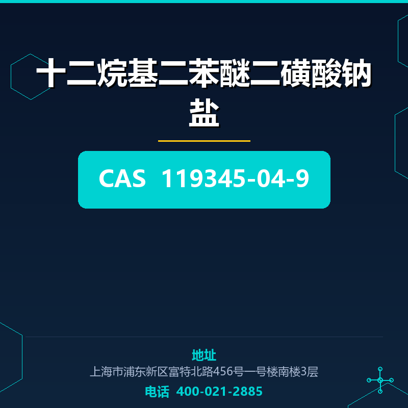 十二烷基二苯醚二磺酸钠盐 119345-04-9