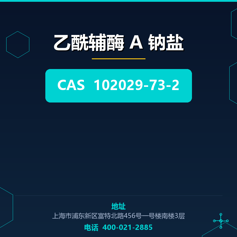 乙酰辅酶 A 钠盐