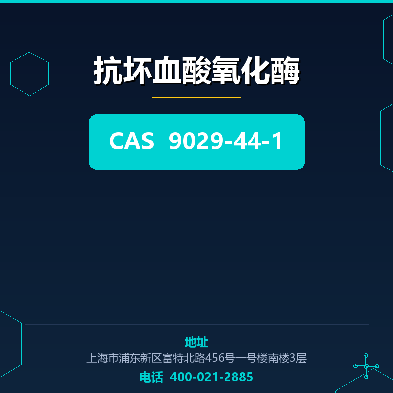 抗坏血酸氧化酶