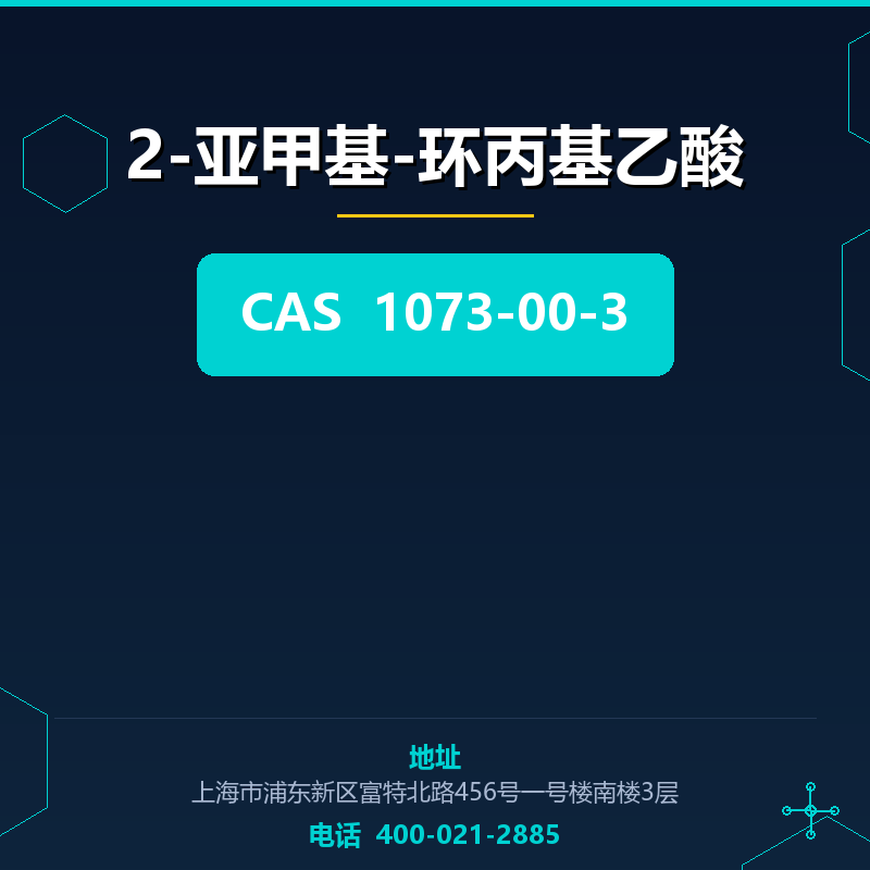 2-亚甲基-环丙基乙酸 1073-00-3