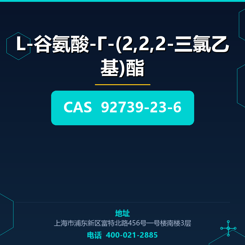 L-谷氨酸-Γ-(2,2,2-三氯乙基)酯 92739-23-6