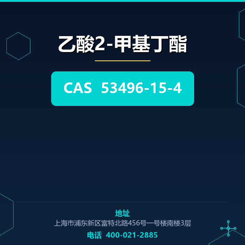 乙酸2-甲基丁酯 53496-15-4