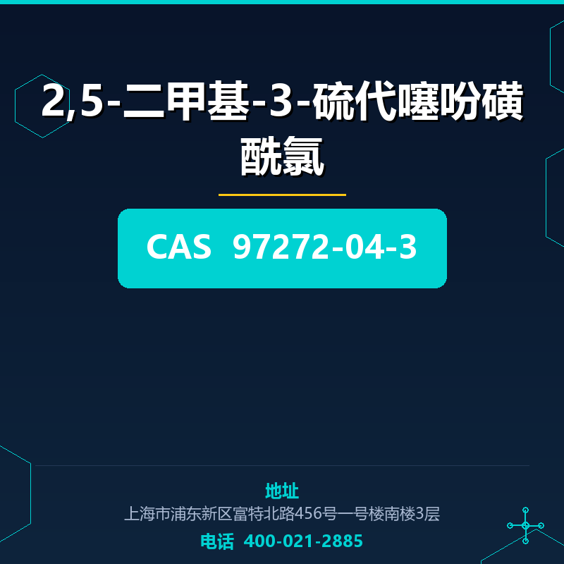 2,5-二甲基-3-硫代噻吩磺酰氯 97272-04-3