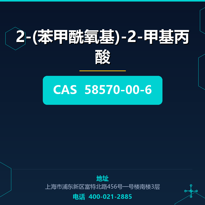 2-(苯甲酰氧基)-2-甲基丙酸 58570-00-6