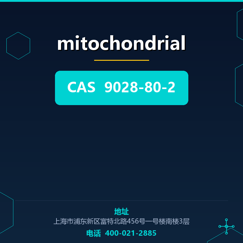 mitochondrial