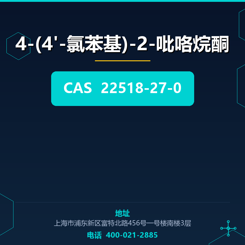 4-(4'-氯苯基)-2-吡咯烷酮 22518-27-0