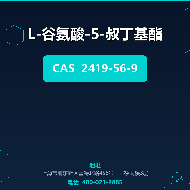L-谷氨酸-5-叔丁基酯 2419-56-9