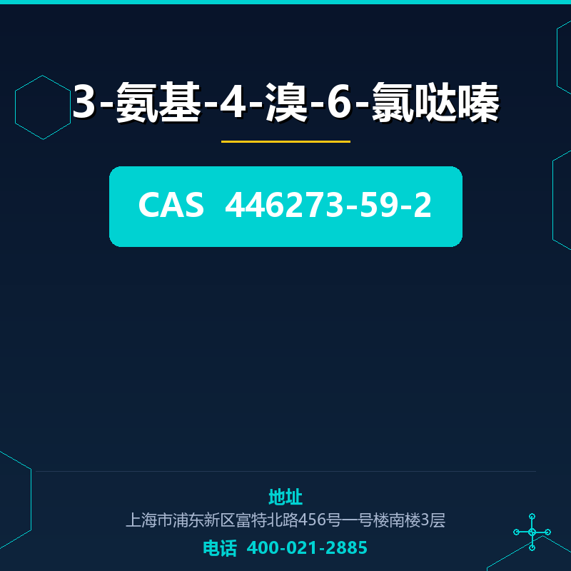 3-氨基-4-溴-6-氯哒嗪 446273-59-2
