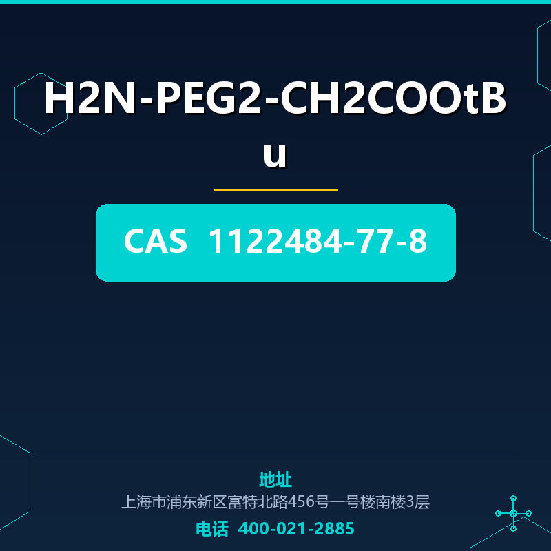 H2N-PEG2-CH2COOtBu