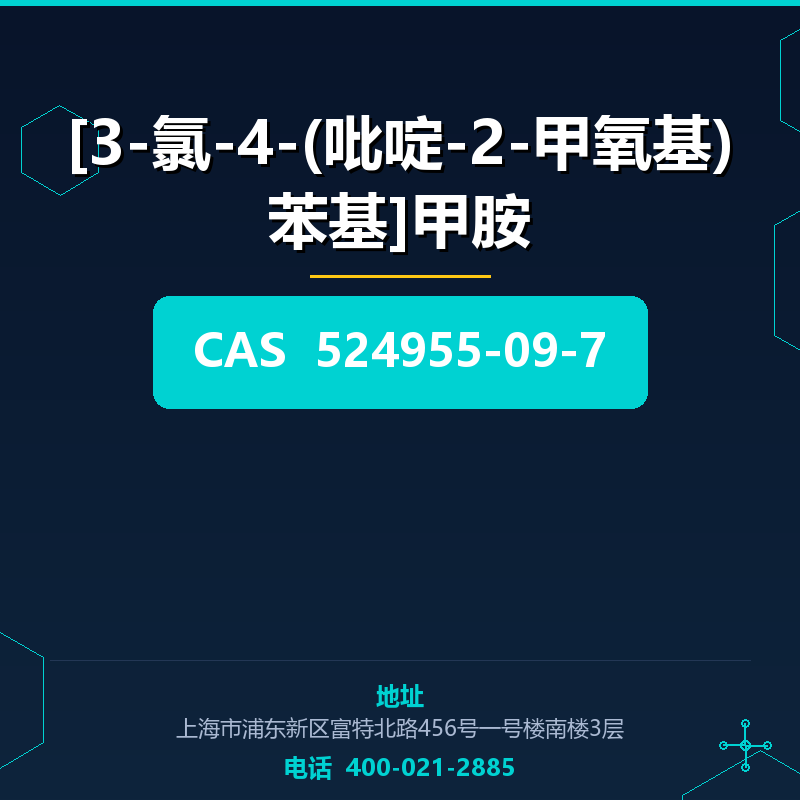 [3-氯-4-(吡啶-2-甲氧基)苯基]甲胺 524955-09-7