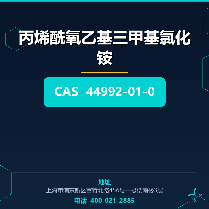 丙烯酰氧乙基三甲基氯化铵 44992-01-0