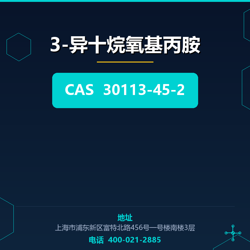 3-异十烷氧基丙胺 30113-45-2