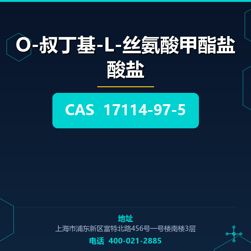 O-叔丁基-L-丝氨酸甲酯盐酸盐 17114-97-5