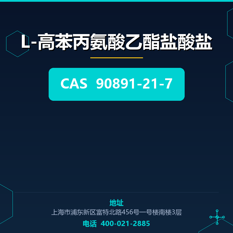 L-高苯丙氨酸乙酯盐酸盐 90891-21-7