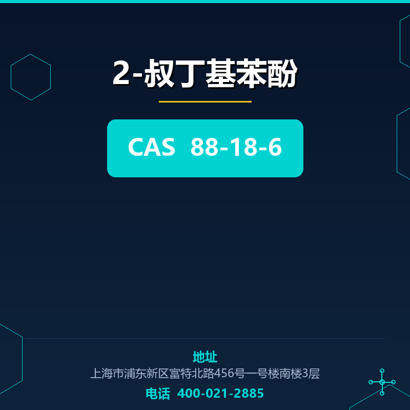 2-叔丁基苯酚 88-18-6