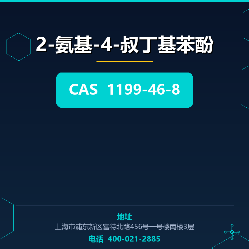 2-氨基-4-叔丁基苯酚 1199-46-8