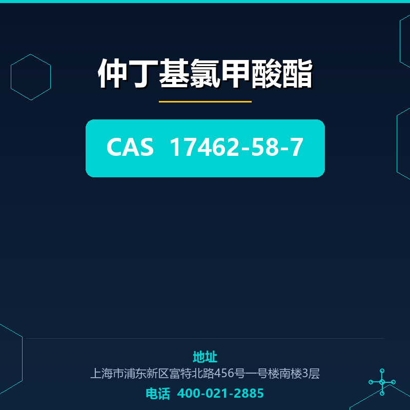 仲丁基氯甲酸酯 17462-58-7