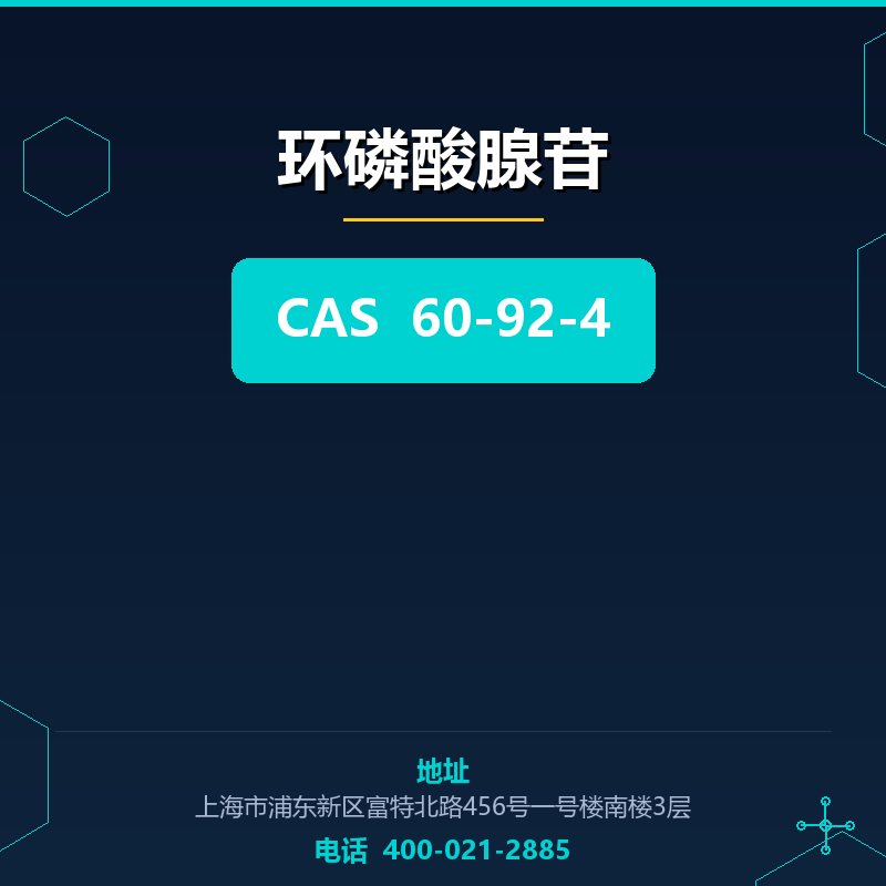 环磷酸腺苷