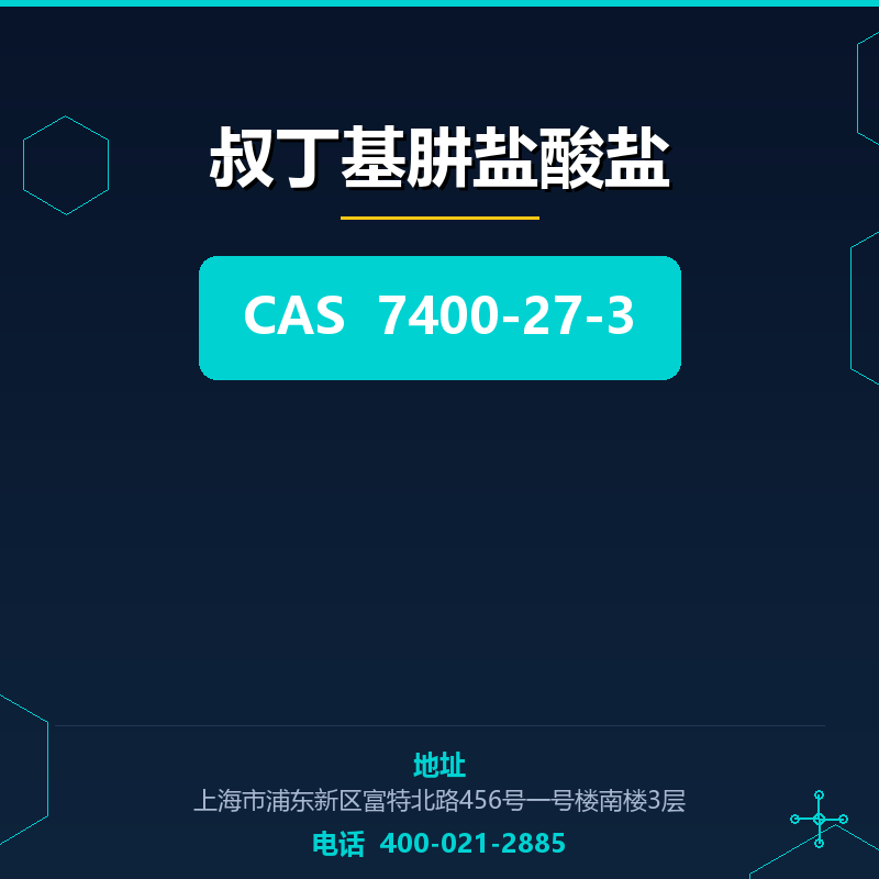 叔丁基肼盐酸盐