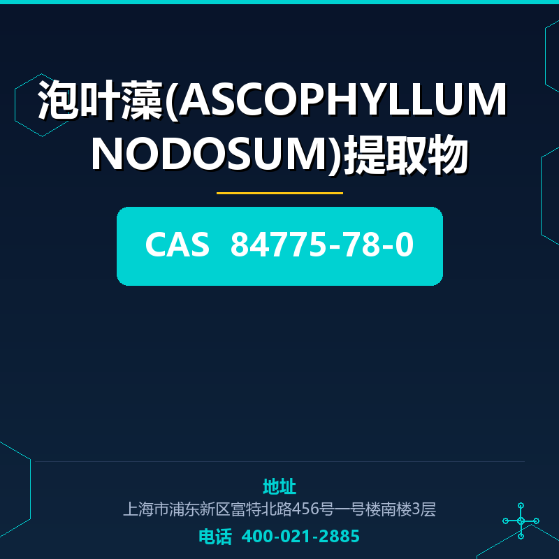 泡叶藻(ASCOPHYLLUM NODOSUM)提取物
