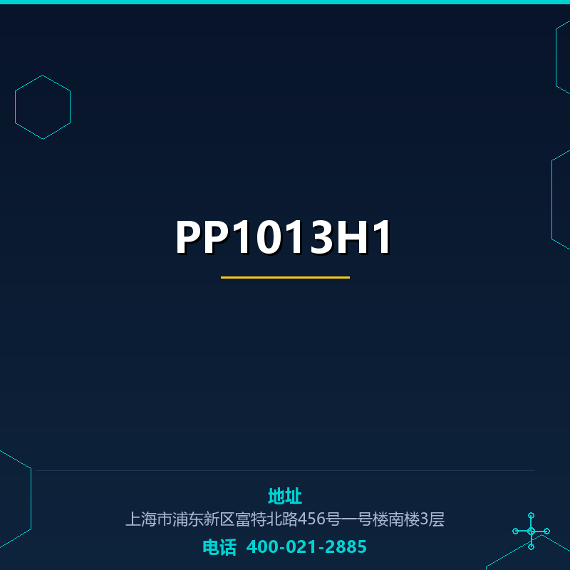 PP1013H1