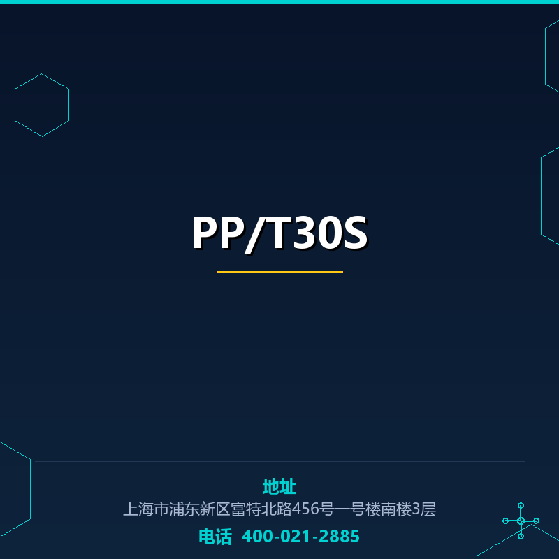 PP/T30S None