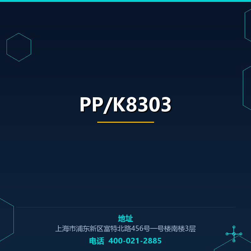 PP/K8303 None