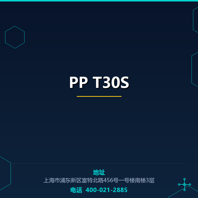 PP T30S