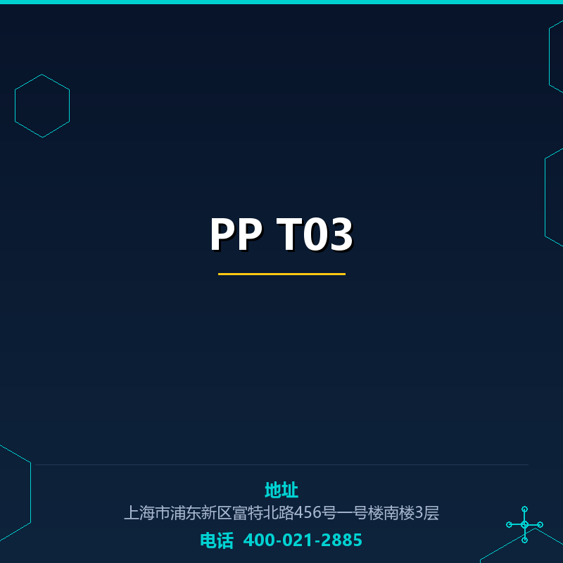 PP T03 None