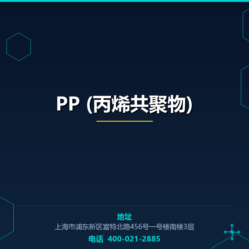 PP (丙烯共聚物) None