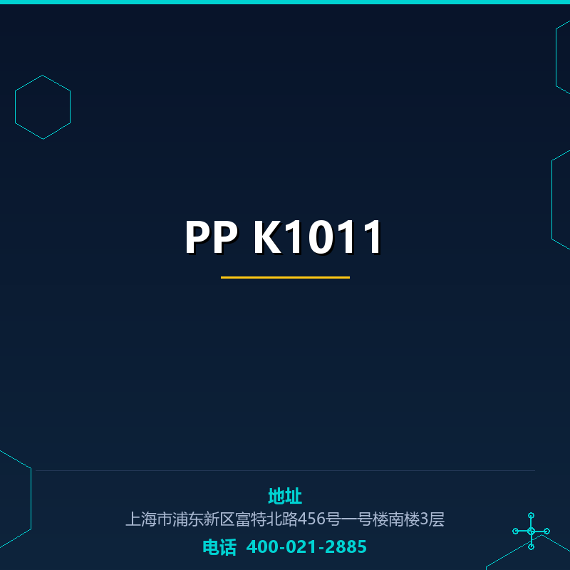 PP K1011 None