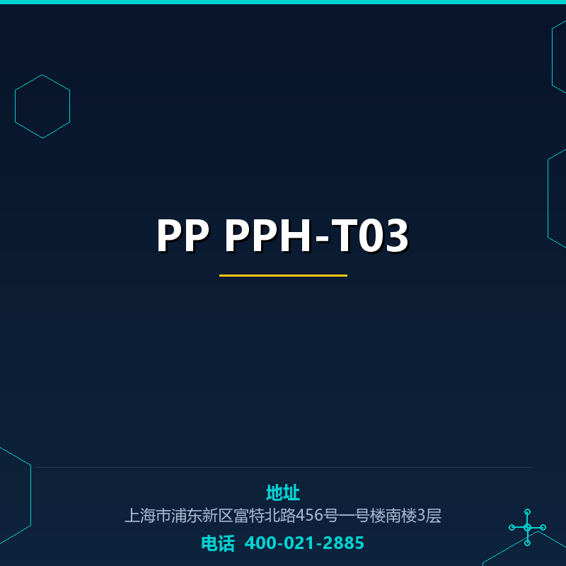 PP PPH-T03 None