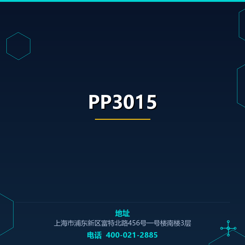 PP3015 None