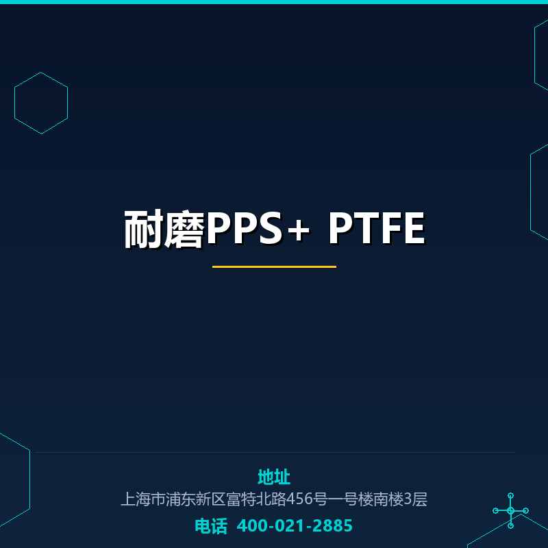 耐磨PPS+20％PTFE None