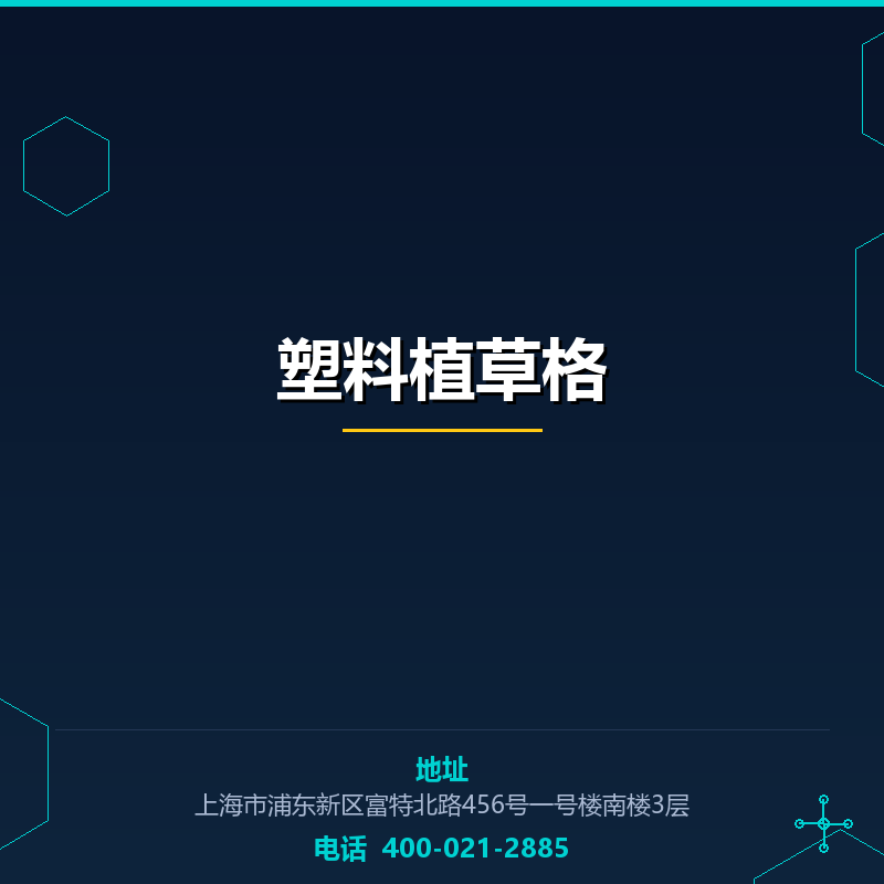 塑料植草格