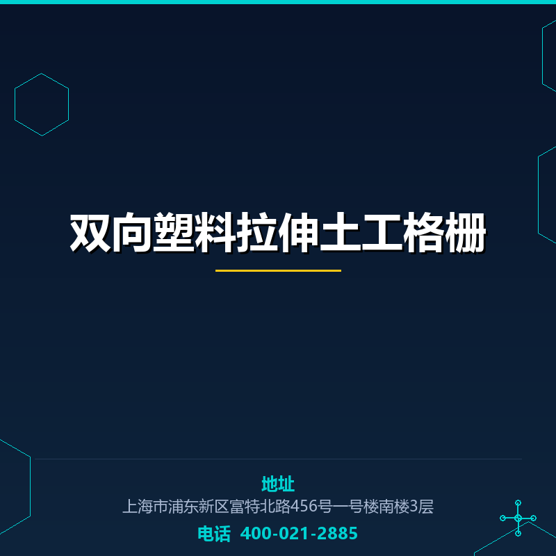 双向塑料拉伸土工格栅 None