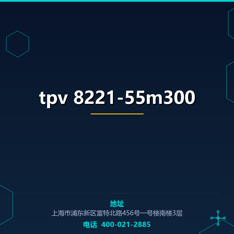 tpv 8221-55m300 None