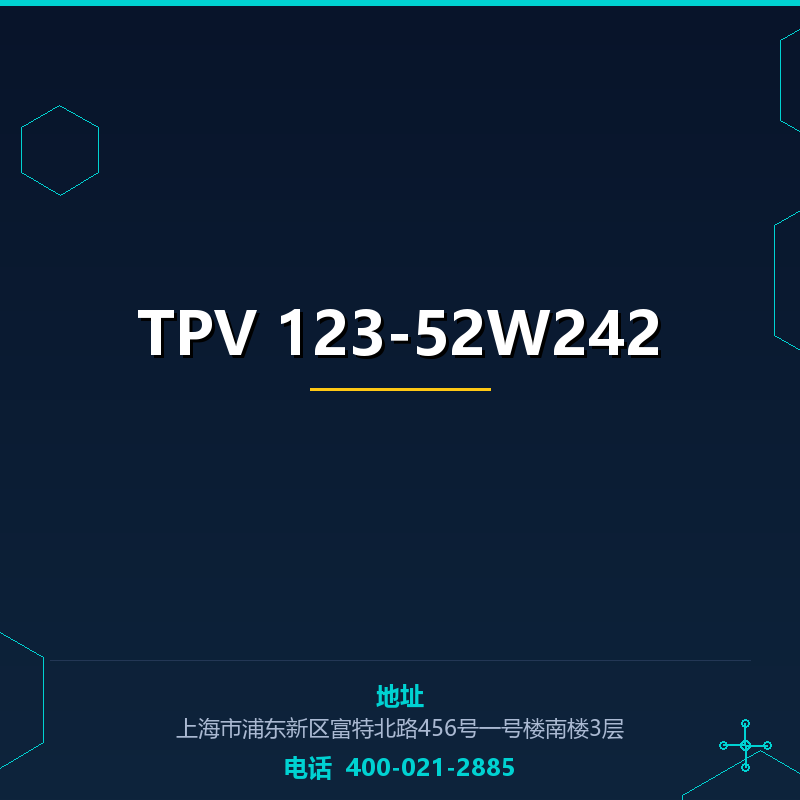 TPV 123-52W242 None