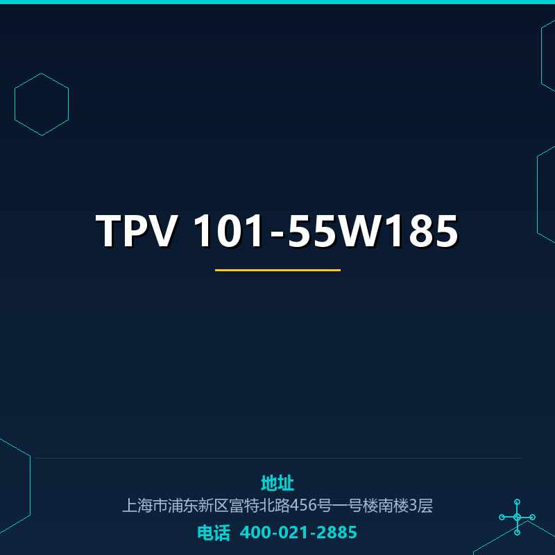 TPV 101-55W185 None